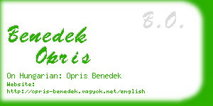 benedek opris business card